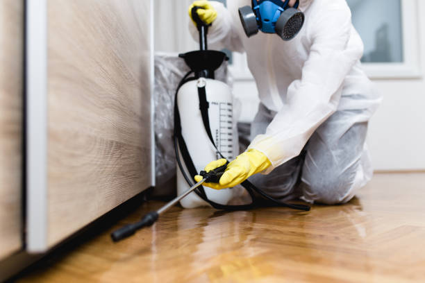 Best Exterminator Services  in New Vienna, OH