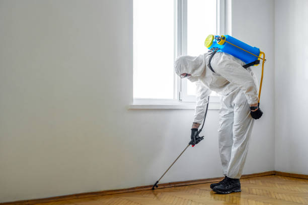 Best Flea Control Services  in New Vienna, OH