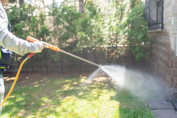 Best Bed Bug Extermination  in New Vienna, OH