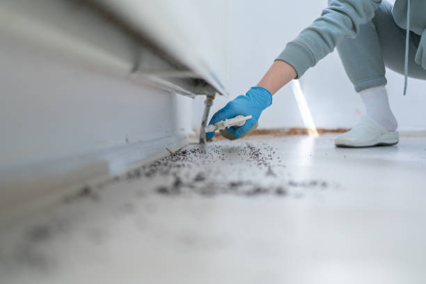 Best Pest Control Near Me  in New Vienna, OH